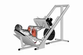Leg Press demo